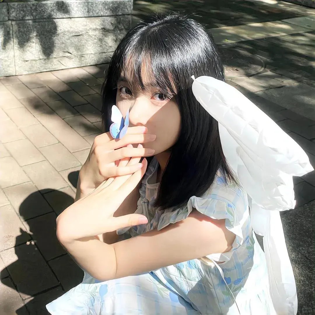 梦幻飞行 封面